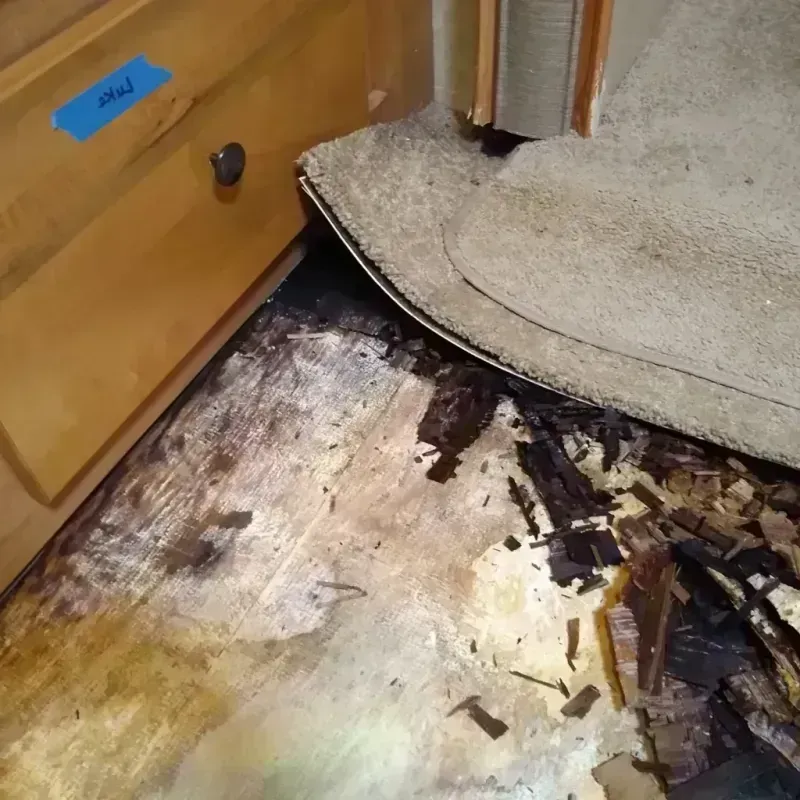 Best Wood Floor Water Damage Service in Cahaba Heights, AL